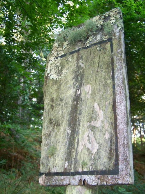 Sinalizadores deteriorados.