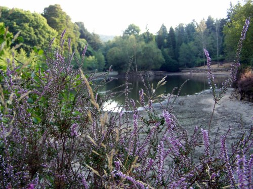 A lagoa de Castiñeiras, en setembro.