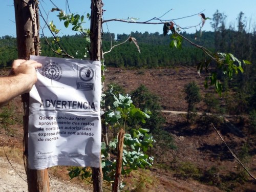 Foto da Comunidade de Montes de Santa Cristina de Cobres, Vilaboa.