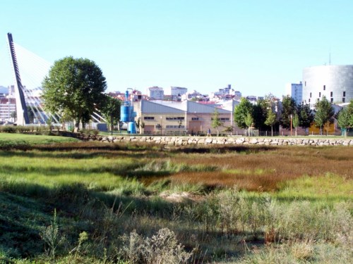 A xunqueira na Illa do Covo, ou Illa das Esculturas.