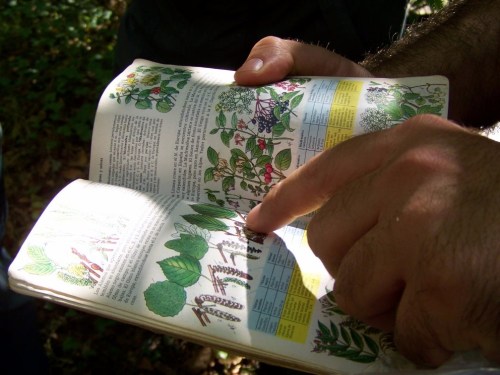 Unha boa guía, complemento indispensable para coñecer a fauna e a flora.