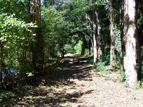 Sendeiro fluvial do río Lérez.