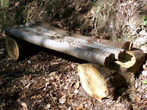 Para tomar un respiro.