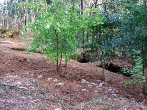 No castro das Croas.