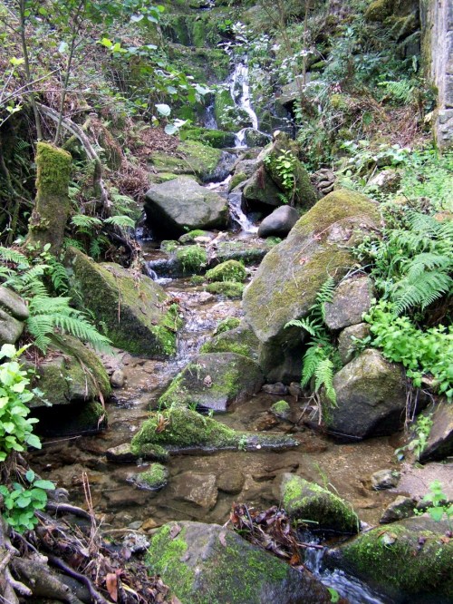 Nos muíños do Batán.