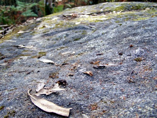 Nos petroglifos do Mato das Cruces.