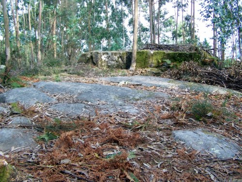 Nos petroglifos do Mato das Cruces.