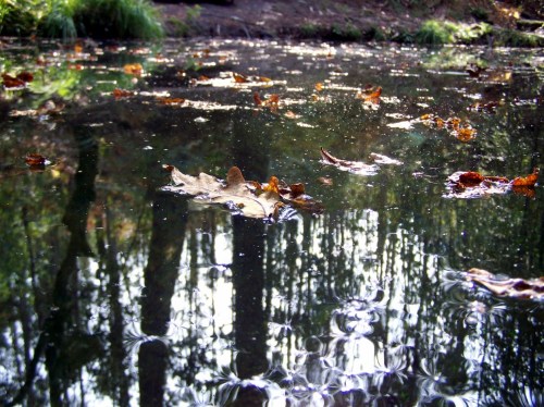 Na beira do río Batán.