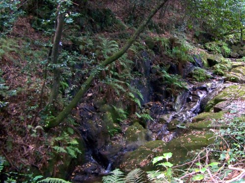 Na beira do río Batán.