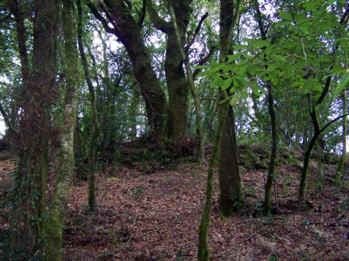 Na beira do río Batán.