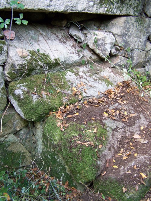 Cubo do muíño de Lamoso.