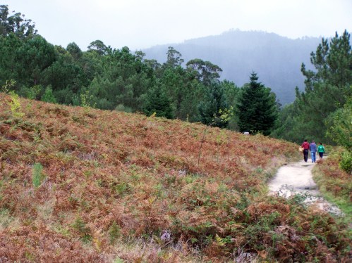 Cazadores, recolectores de cogomelos, sendeiristas... o monte ten que ser un lugar seguro para todos.