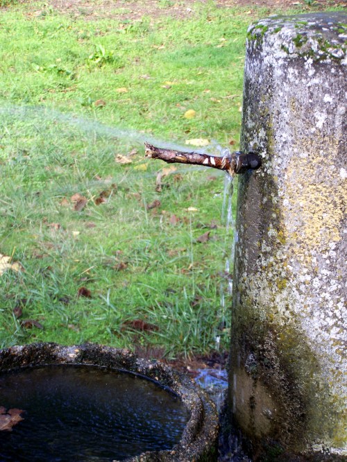 Outra das fontes da arboreda, cunha fuga de auga.