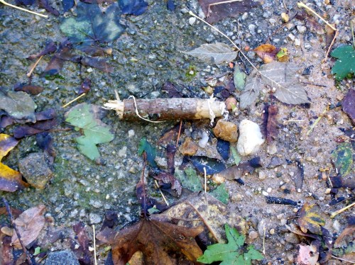 Tarugo de madeira que tapaba o burato da billa da fonte.