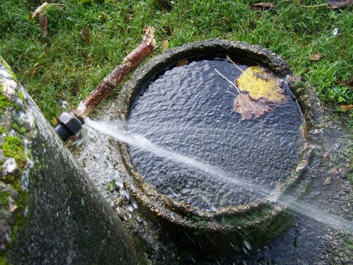 Fuga de auga nunha das fontes da arboreda.