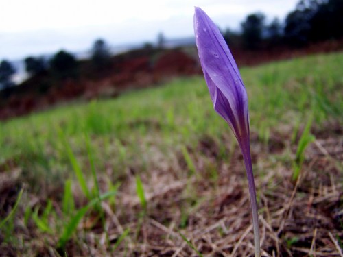 25 de novembro, Día Internacional contra a Violencia de Xénero.