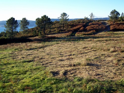 Vista do val do Pituco, coas "calvas" da recollida de fento e toxo.