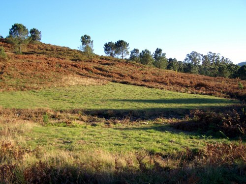 Vista do val do Pituco, coas "calvas" da recollida de fento e toxo.