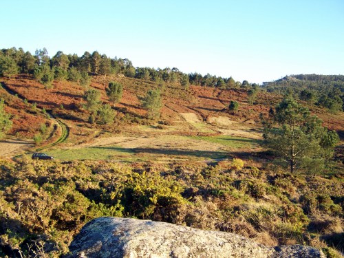 Vista do val do Pituco, coas "calvas" da recollida de fento e toxo.