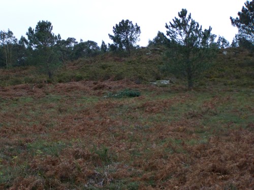 Moitas pólas acabaron no chan.