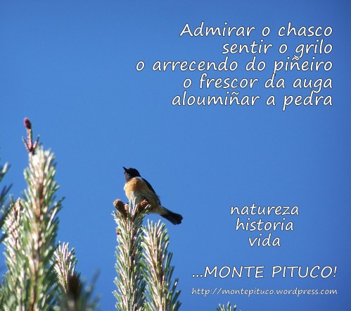 Feliz 2014 dende o Monte Pituco.