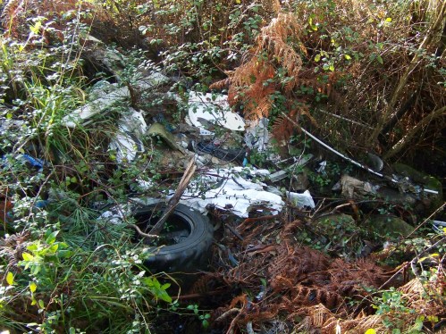 Verquido nas Presas, xaneiro de 2014.