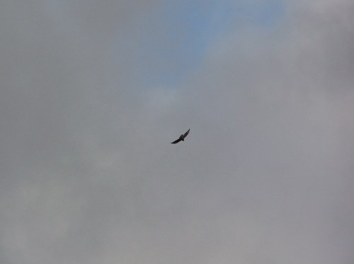 Miñato sobrevoando o Monte Pituco.