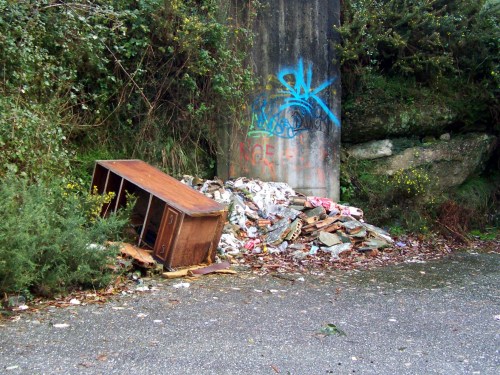 Verquido a carón do túnel da Variante.