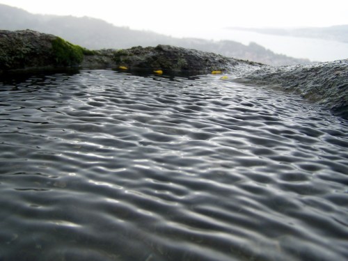 Dende o Monte Pituco, no centenario de Díaz Castro.