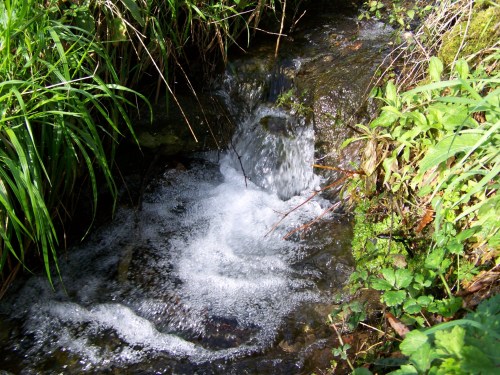 Polas veigas da Curxeira (febreiro 2014).