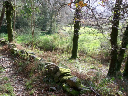 Polas veigas da Curxeira (febreiro 2014).