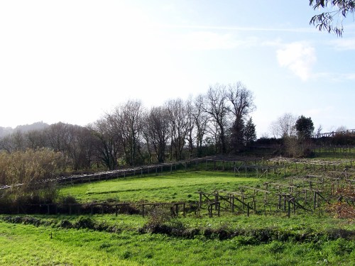 Polas veigas da Curxeira (febreiro 2014).