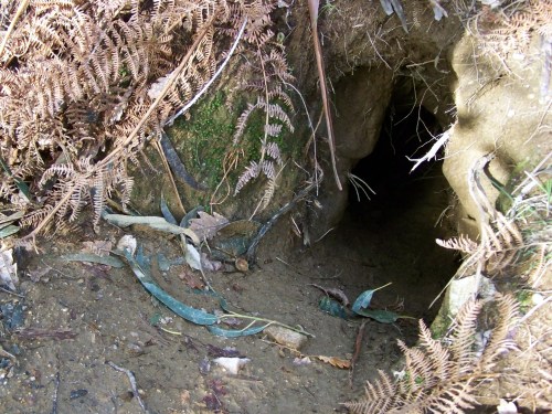 Polas veigas da Curxeira (febreiro 2014).