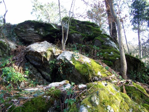 Polas veigas da Curxeira (febreiro 2014).