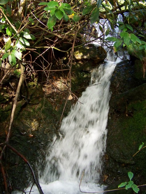 Polas veigas da Curxeira (febreiro 2014).