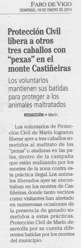 Faro, 19 de xaneiro de 2014.