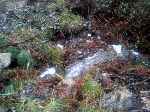 Eliminado polo Concello de Marín o verquido nas Presas.