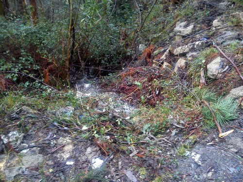 Eliminado polo Concello de Marín o verquido nas Presas.