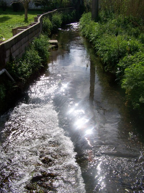 Andaina bordeando o río Lameira.