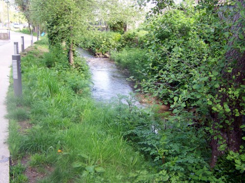 Senda fluvial do Lameira na zona do Sequelo.