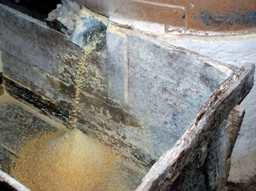 No muíño do Sequelo.