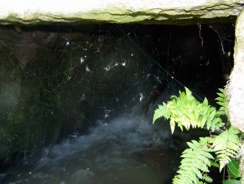 No muíño do Sequelo.