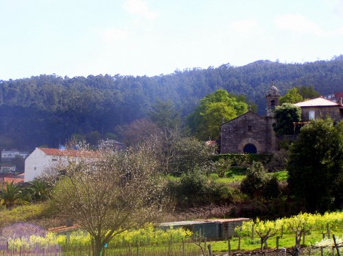Igrexa de San Xulián dende O Carballal.