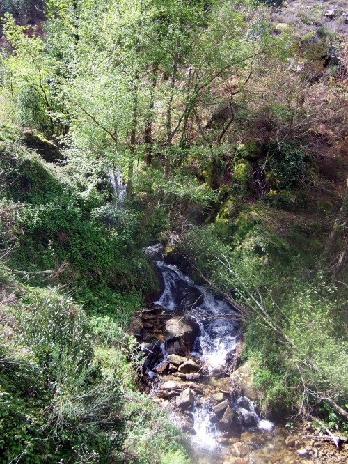 Andaina a Castiñeiras seguindo a senda do Lameira.