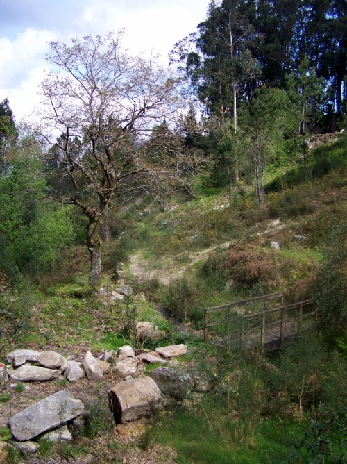 Andaina a Castiñeiras seguindo a senda do Lameira.