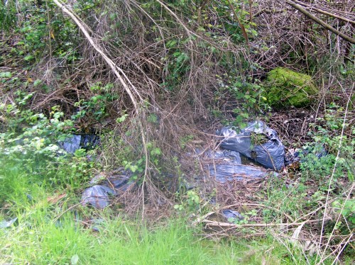 No camiño ata Castiñeiras atopamos varios verquidos ilegais.