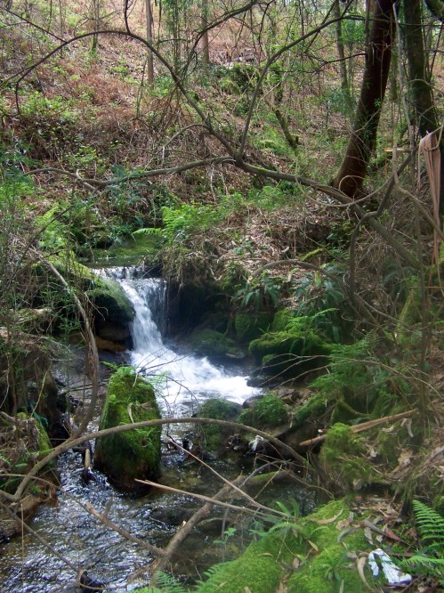 Hacia Castiñeiras seguindo a senda do Lameira.