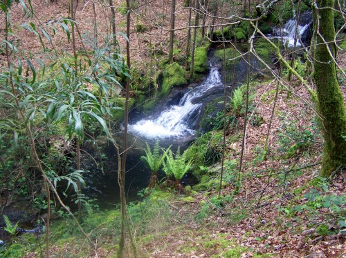 Hacia Castiñeiras seguindo a senda do Lameira.