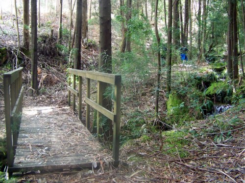 Hacia Castiñeiras seguindo a senda do Lameira.