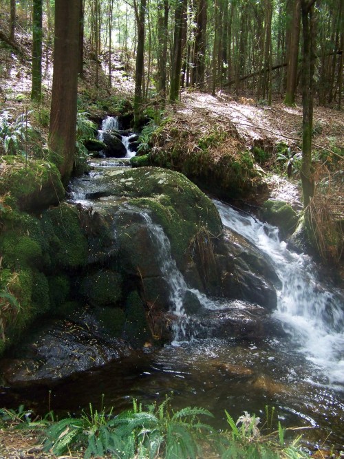 Hacia Castiñeiras seguindo a senda do Lameira.